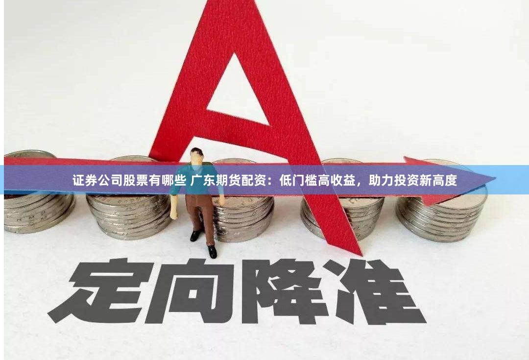 证券公司股票有哪些 广东期货配资：低门槛高收益，助力投资新高度
