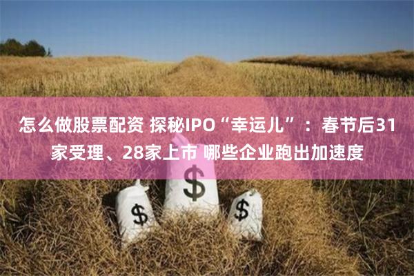 怎么做股票配资 探秘IPO“幸运儿” ：春节后31家受理、28家上市 哪些企业跑出加速度