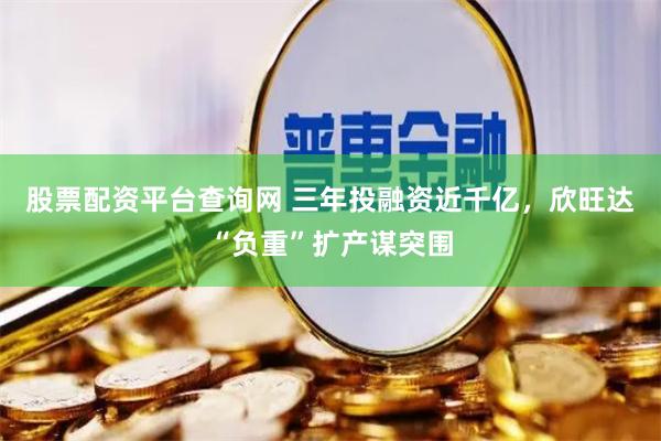 股票配资平台查询网 三年投融资近千亿，欣旺达“负重”扩产谋突围