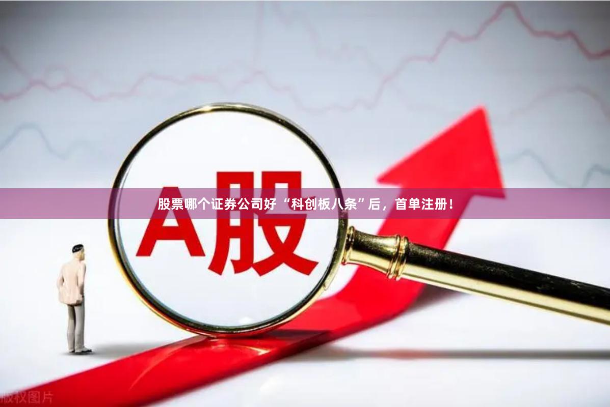 股票哪个证券公司好 “科创板八条”后，首单注册！